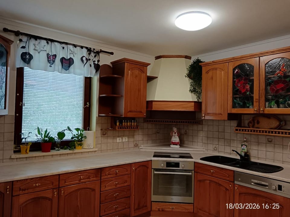Kitchen or kitchenette, kitchen, kitchen
