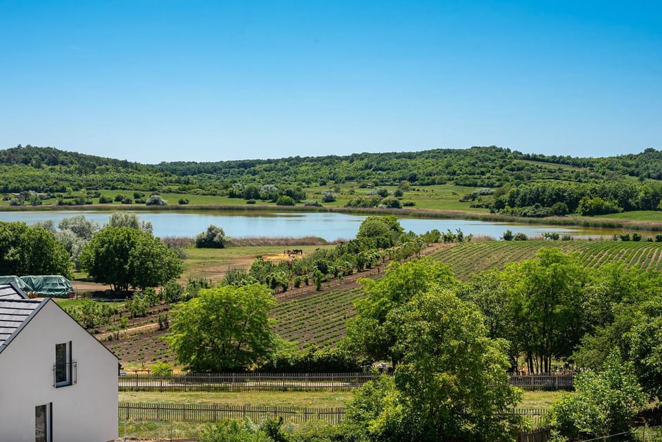 Neighbourhood, Natural landscape, Garden, Hiking, Lake view