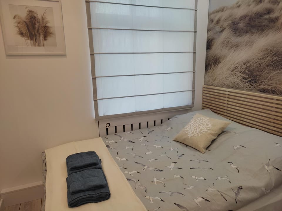 Blue Marina Air Conditioned Apartment Apartment in Lithuania