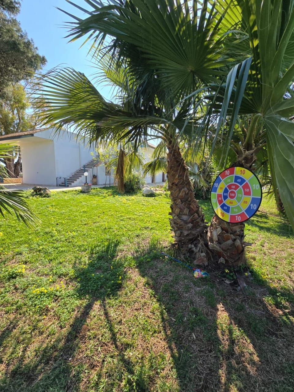 Garden, Garden, Garden view