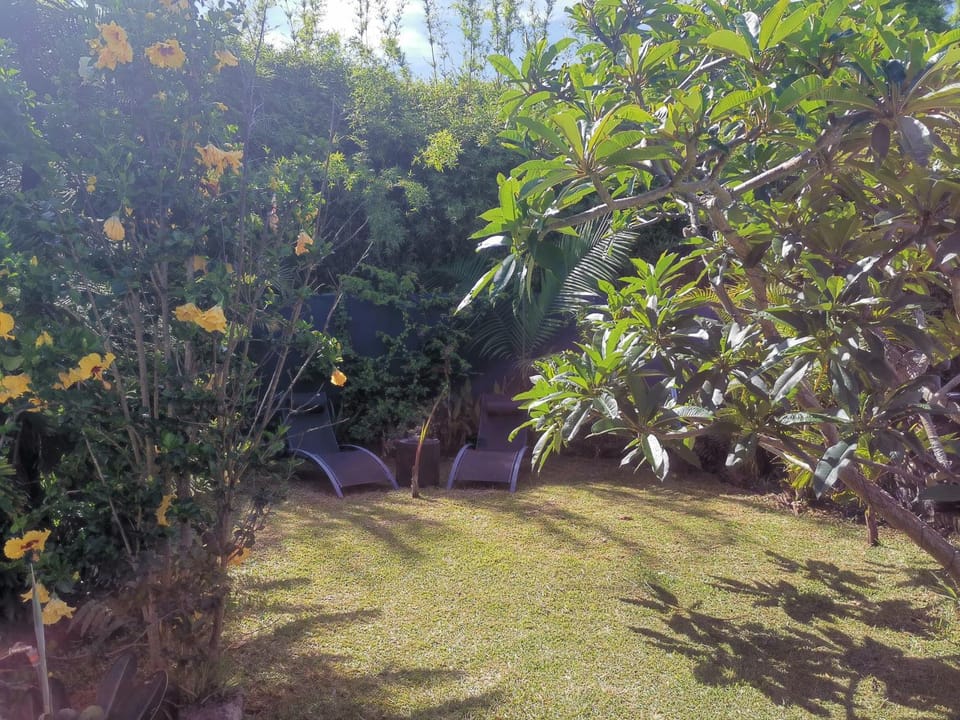 Natural landscape, Garden, Garden view