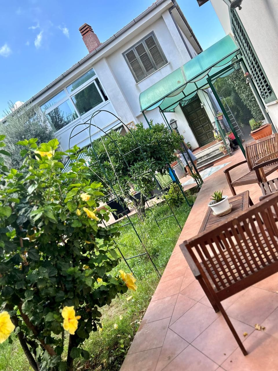 Garden view