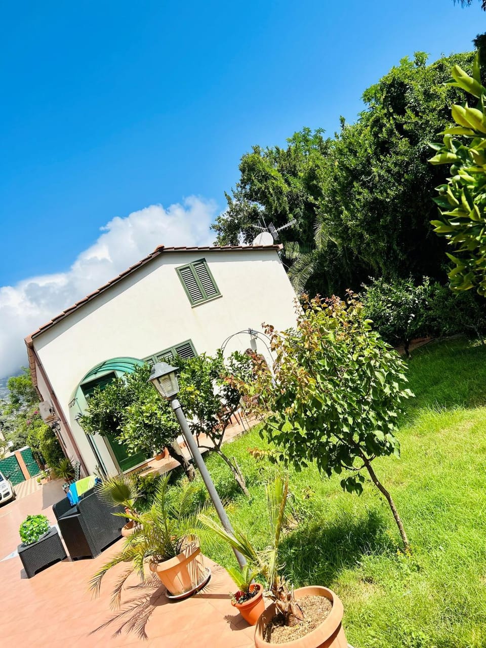Garden, Beach, Beach, Garden view