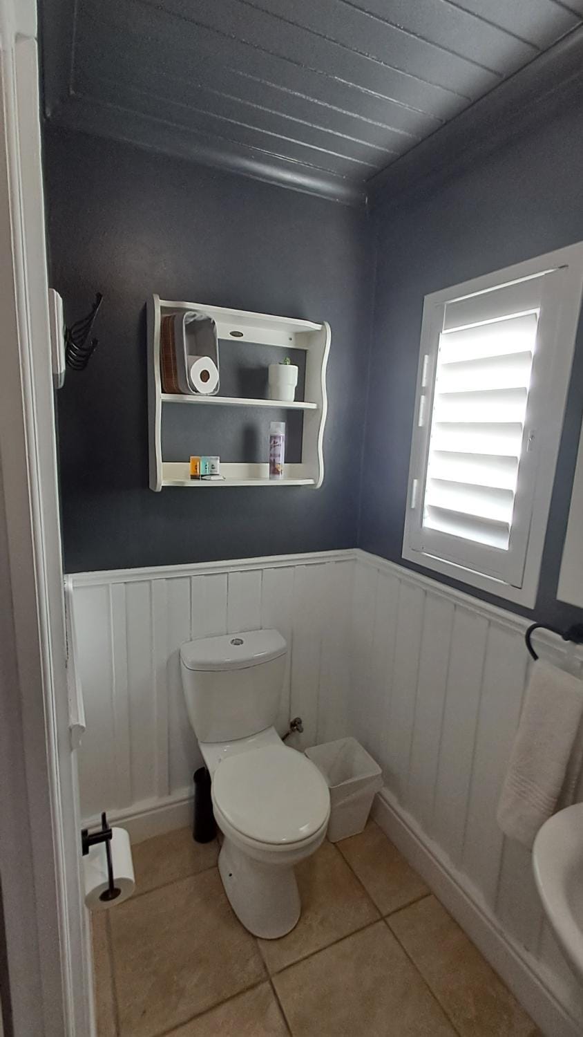 Toilet, Bathroom