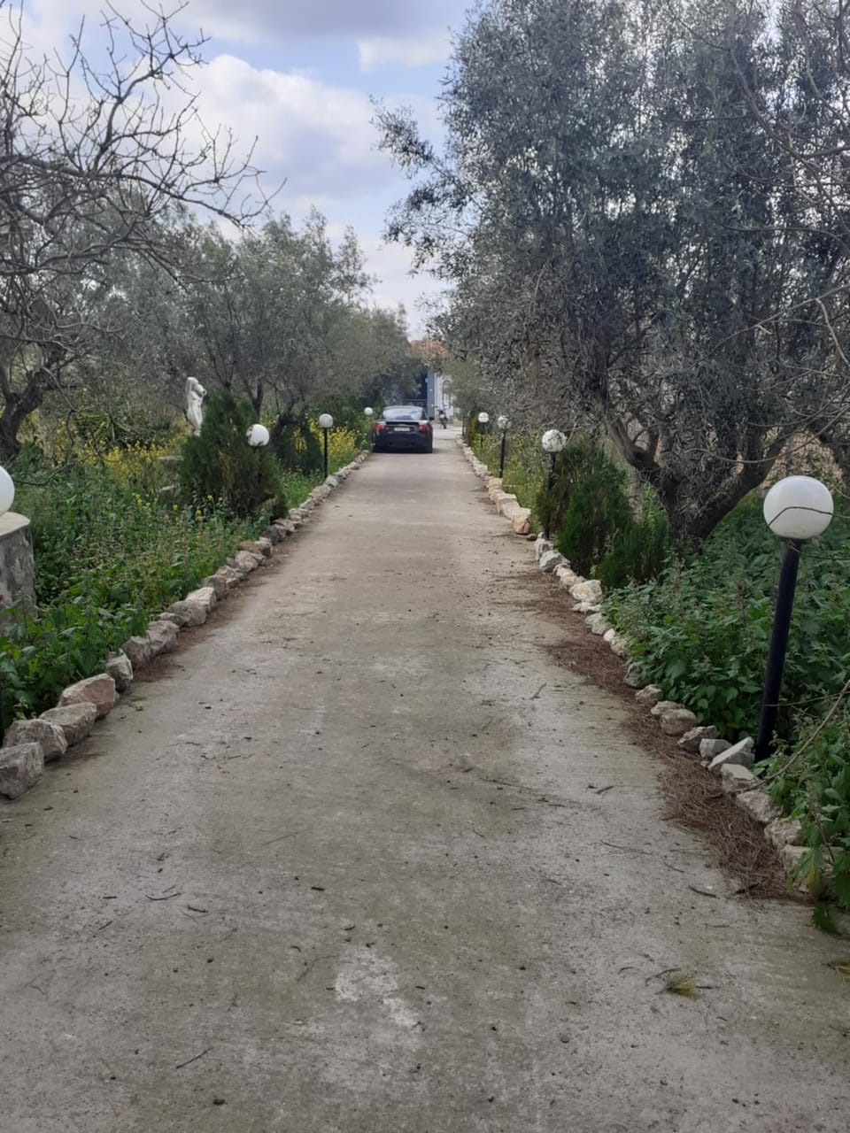 Garden, Street view
