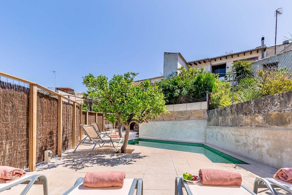 Other, Swimming pool, sunbed
