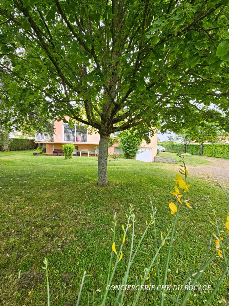 Garden view