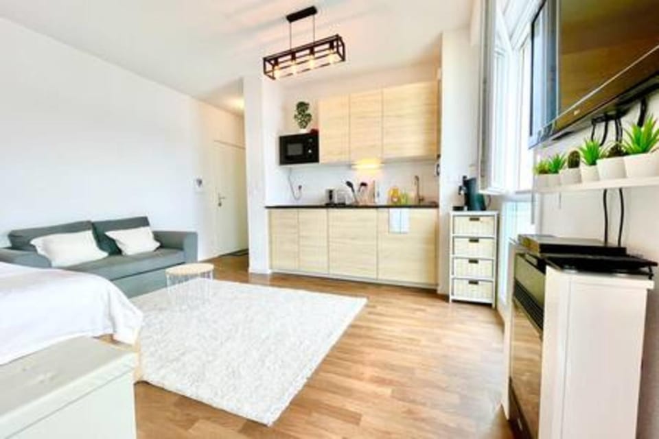 The White Lion downtown and balcony Apartment in Saint-Nazaire