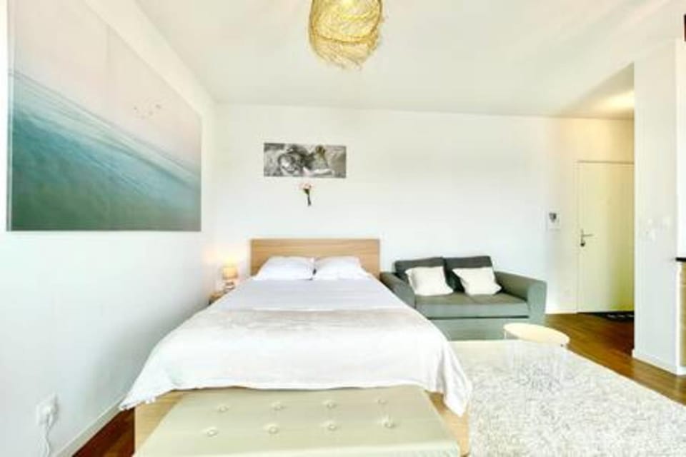 The White Lion downtown and balcony Apartment in Saint-Nazaire