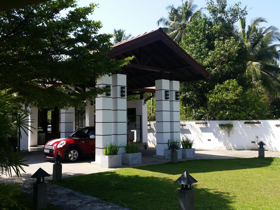 Day, Garden view