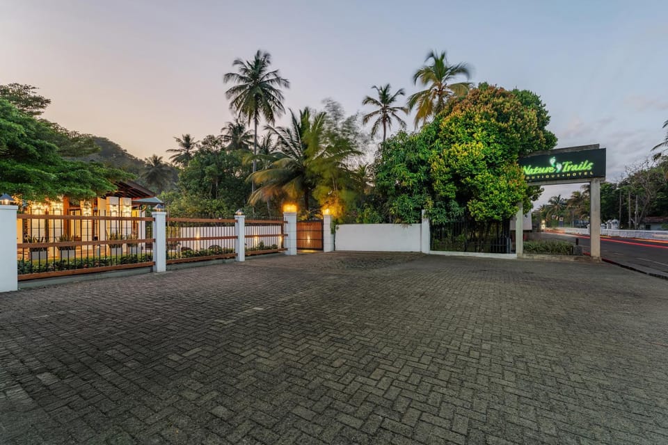 Day, Natural landscape, Garden view, Street view
