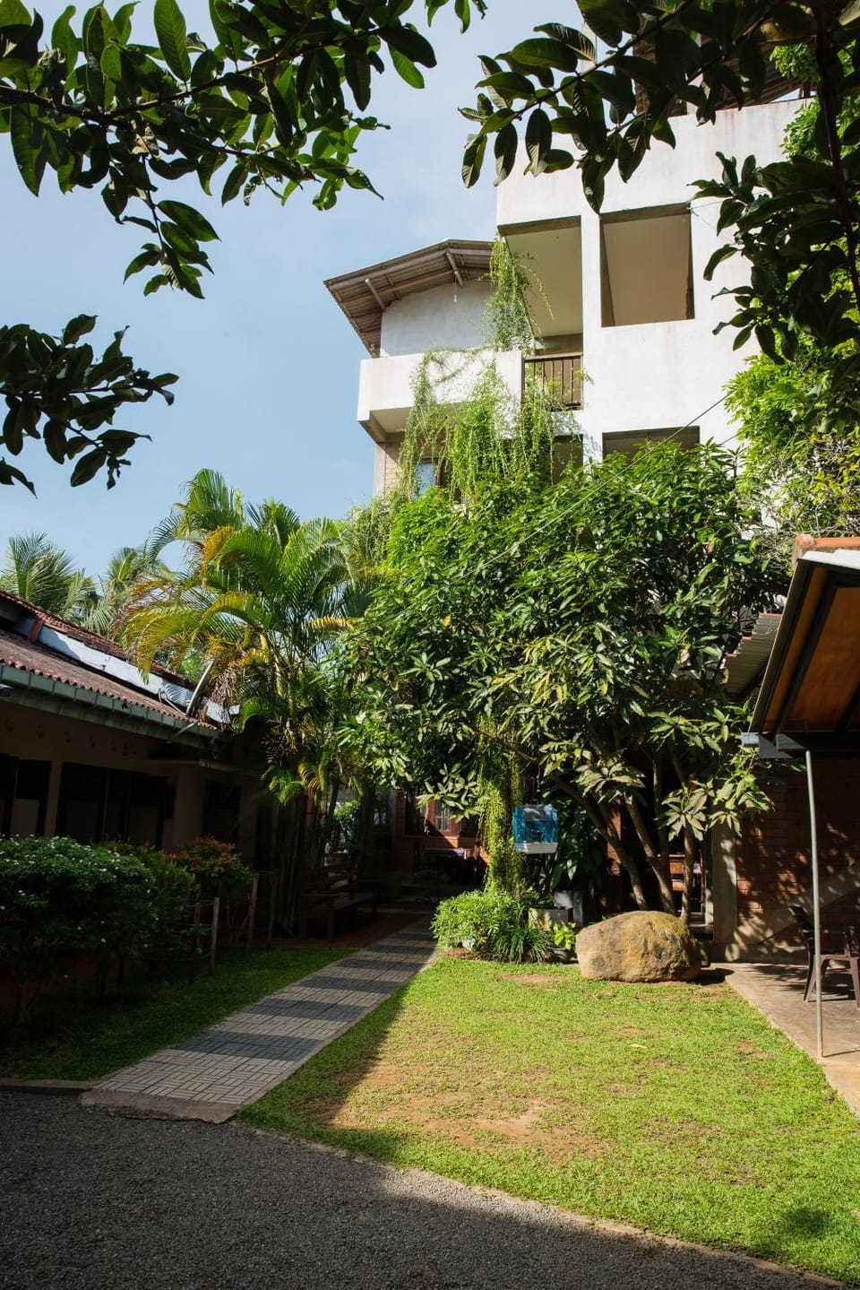 Garden view
