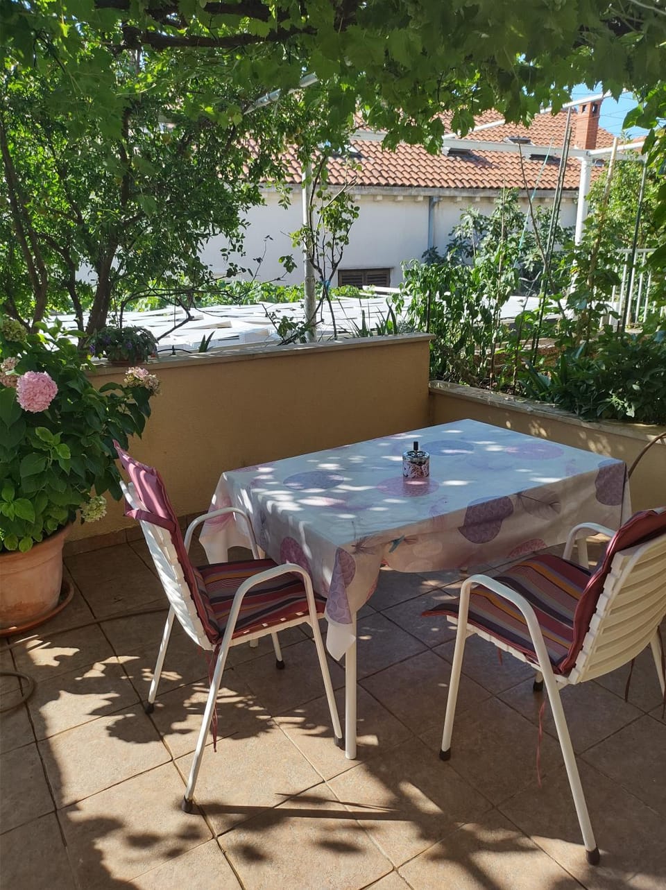 View (from property/room), Balcony/Terrace