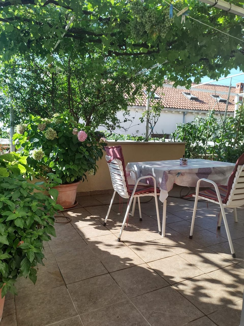 Balcony/Terrace, Garden view