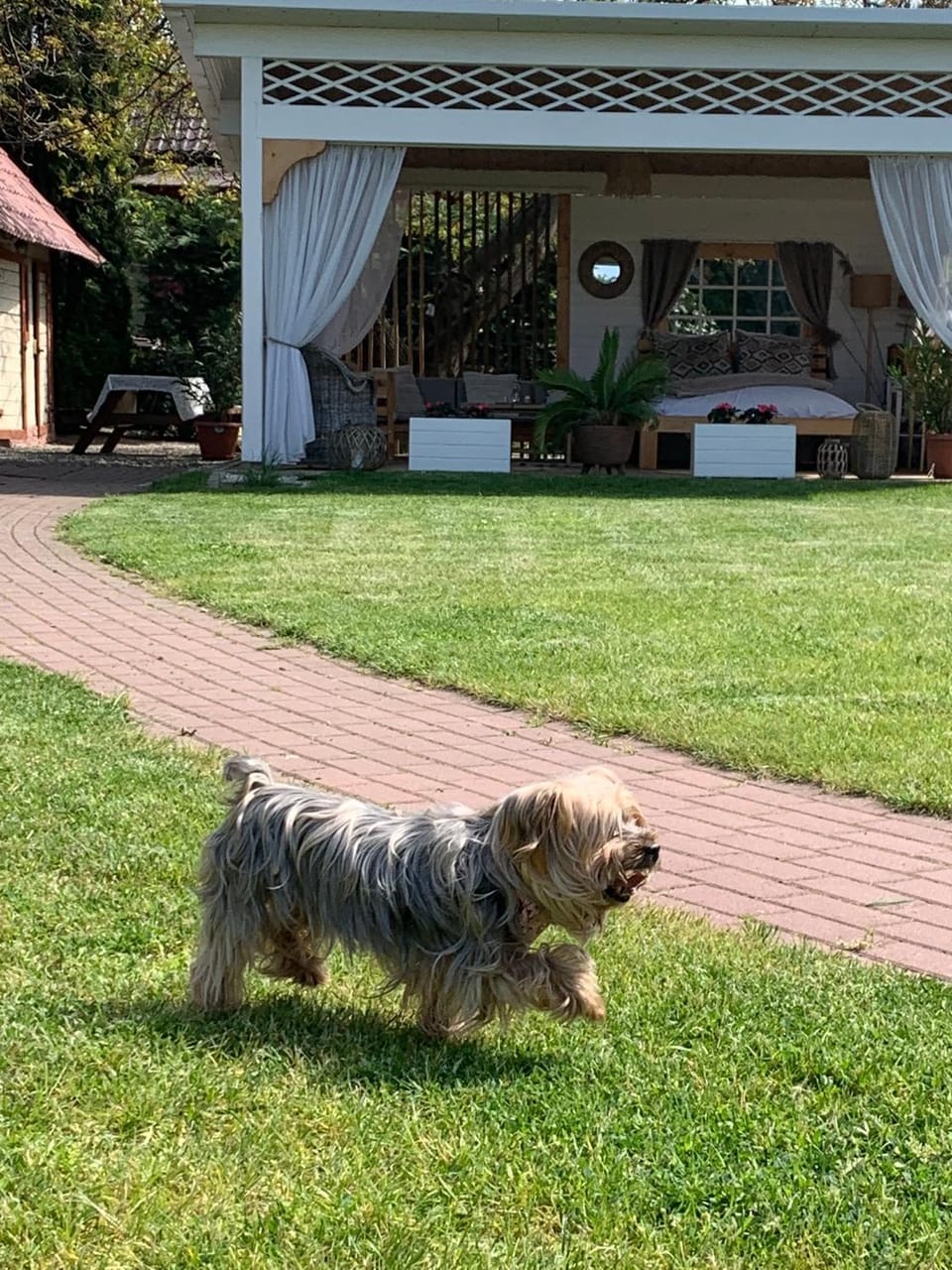 pet friendly
