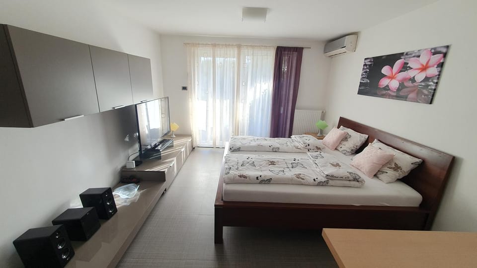 Bed, TV and multimedia, locker, air conditioner