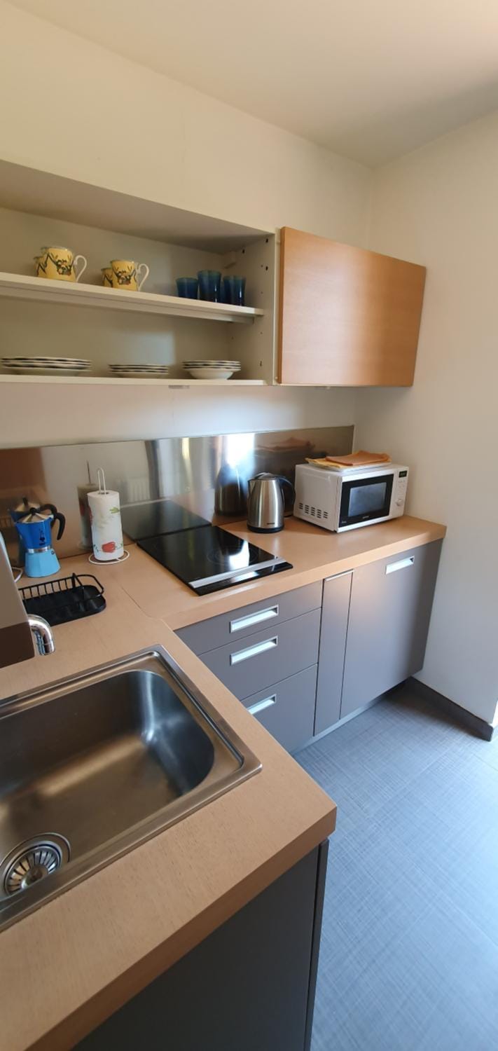 Coffee/tea facilities, Kitchen or kitchenette, microwave, minibar, stove, kitchen