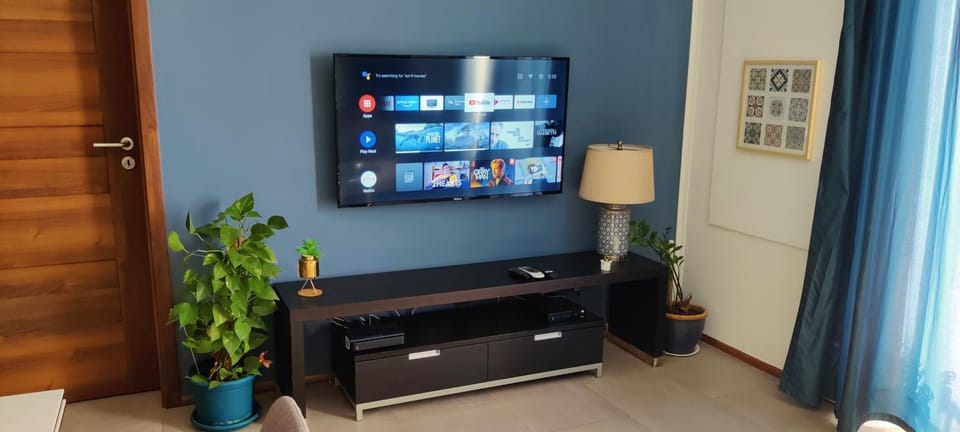 Communal lounge/ TV room, TV and multimedia