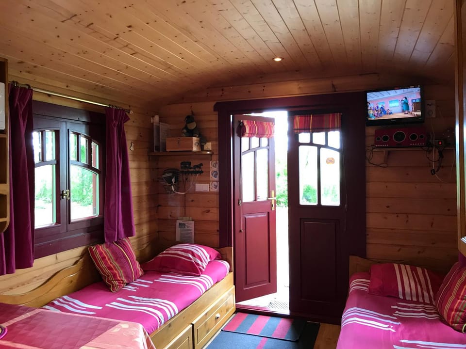 Bed, TV and multimedia