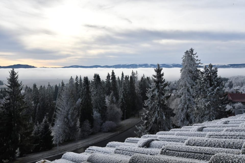Mountain view