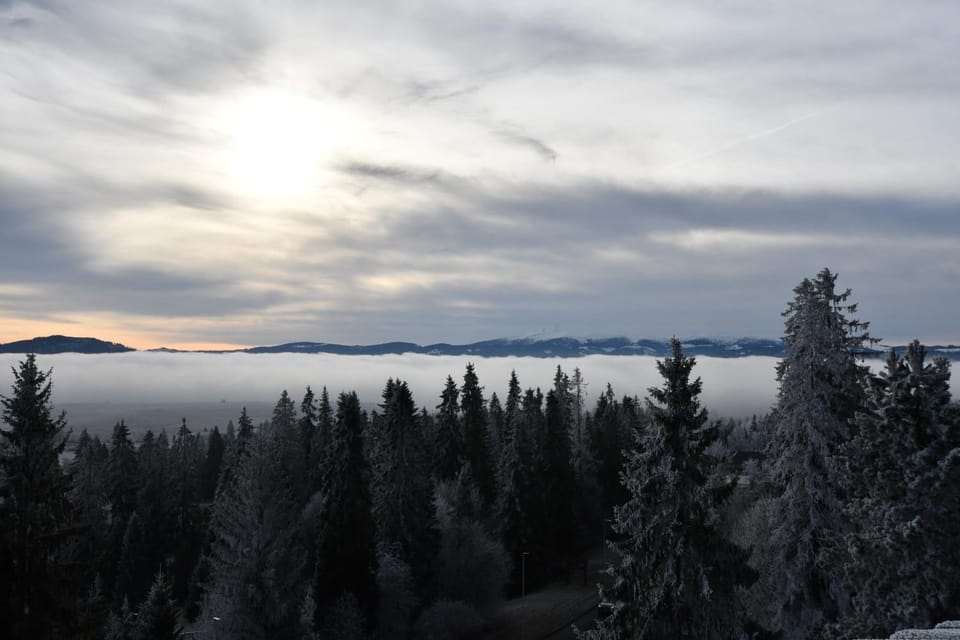 Mountain view