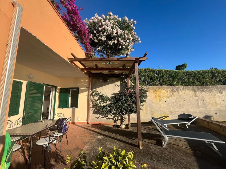 Patio, Garden