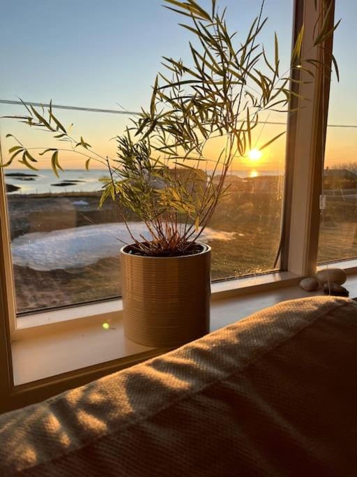 Sjarmerende hus med orkesterplass til hav og fjell House in Nordland, Norway