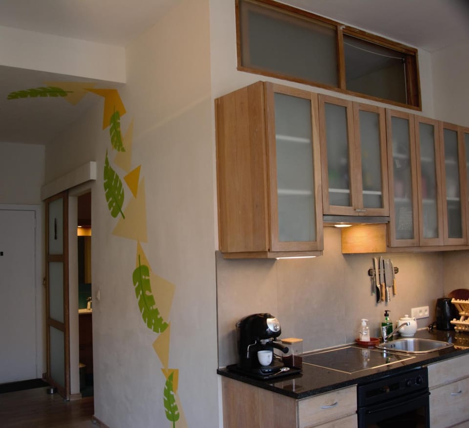 Historical center Antwerp, all on foot Apartment in Antwerp