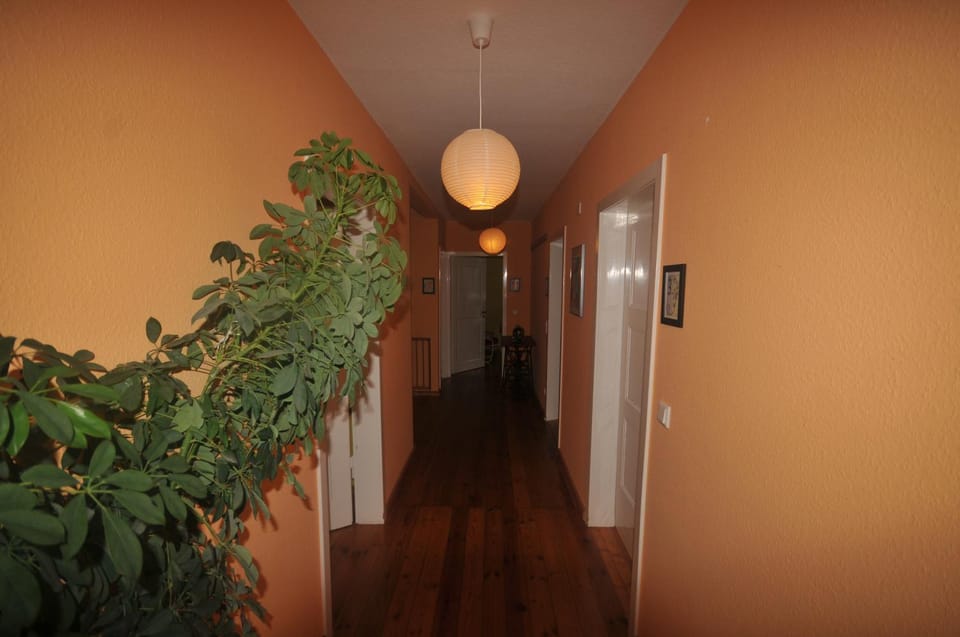 Property building, Other
