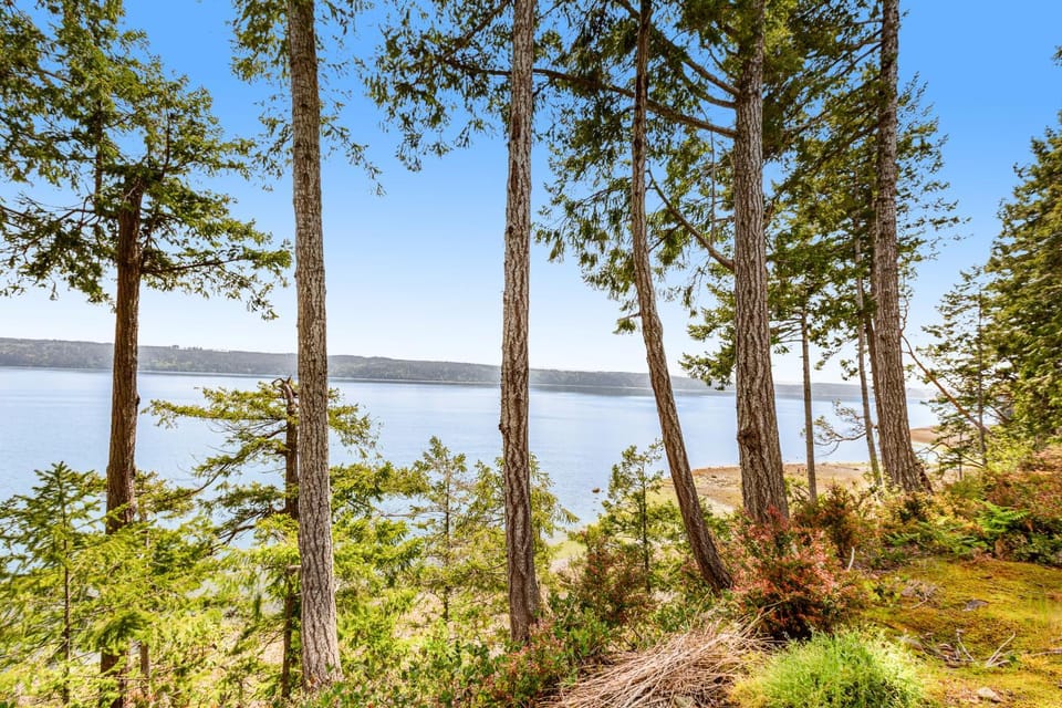 Captain's Cabin Cabin in Hood Canal