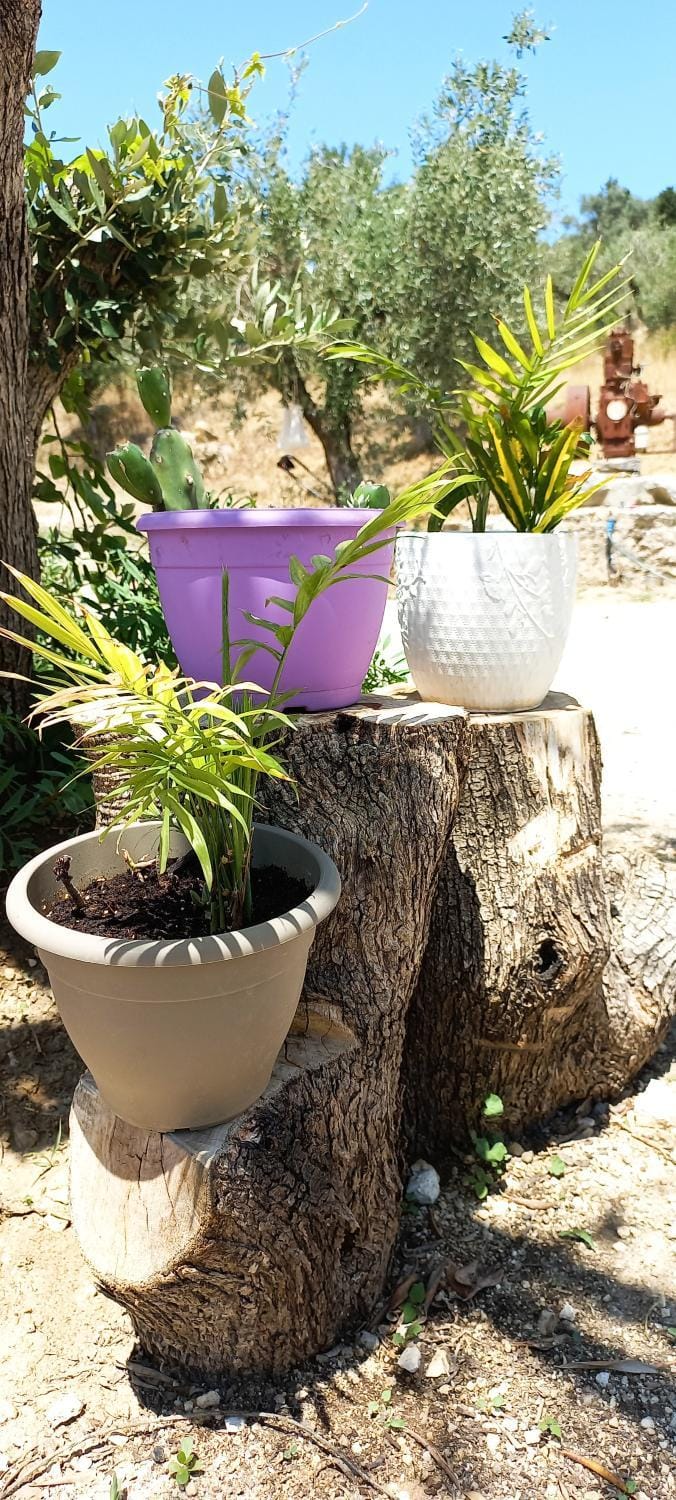 Lily Home_Lefkada ~ Private Country house House in Lefkada, Lefkada Municipality, Greece