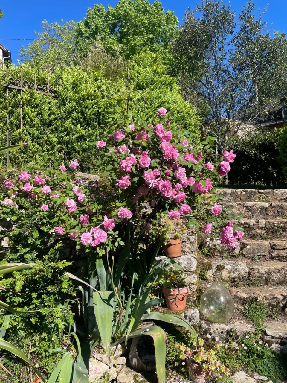 La chambre d'Oloa Bed and Breakfast in Nouvelle-Aquitaine
