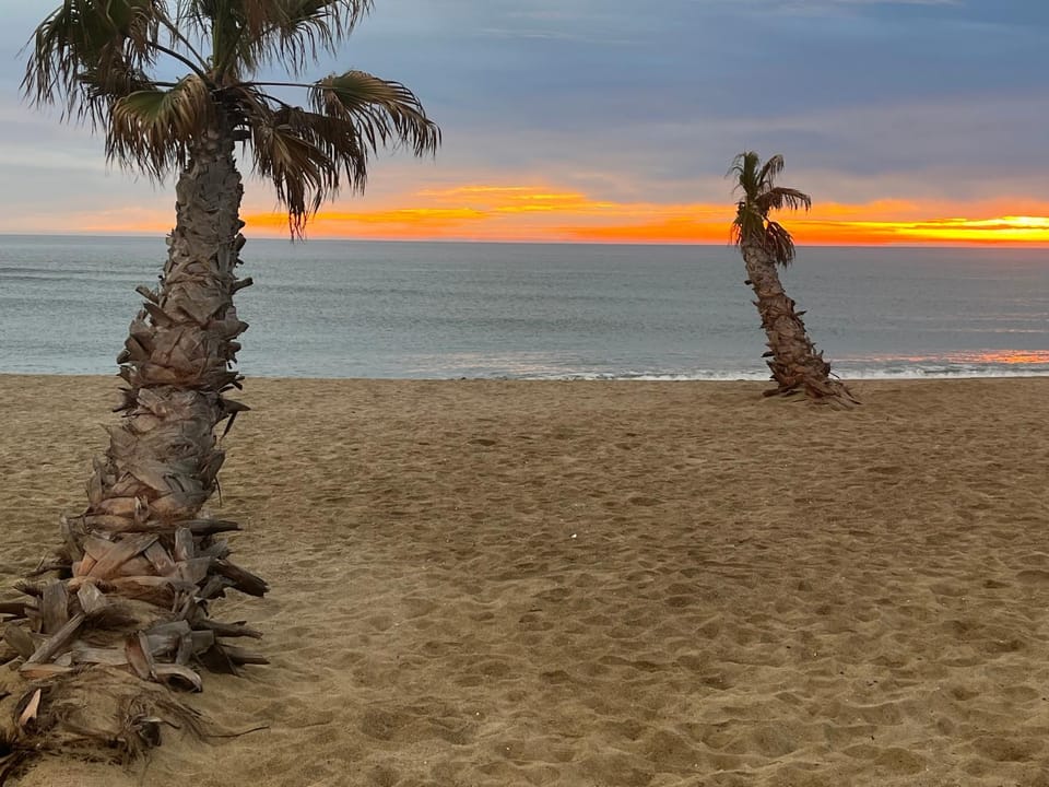 Beach