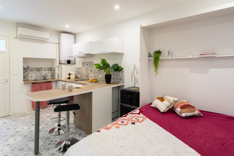 Cannes Hyper Centre climatisé Apartment in Cannes