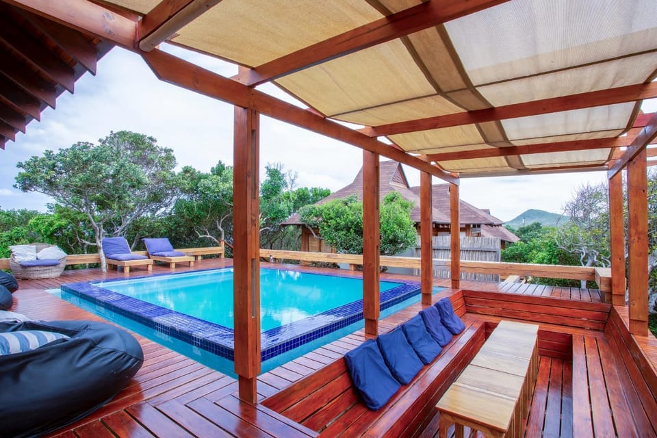 View (from property/room), Pool view, Swimming pool, sunbed