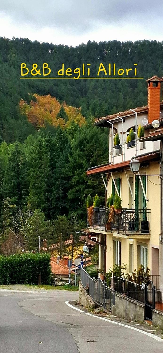 B&B degli Allori Bed and Breakfast in Tuscany
