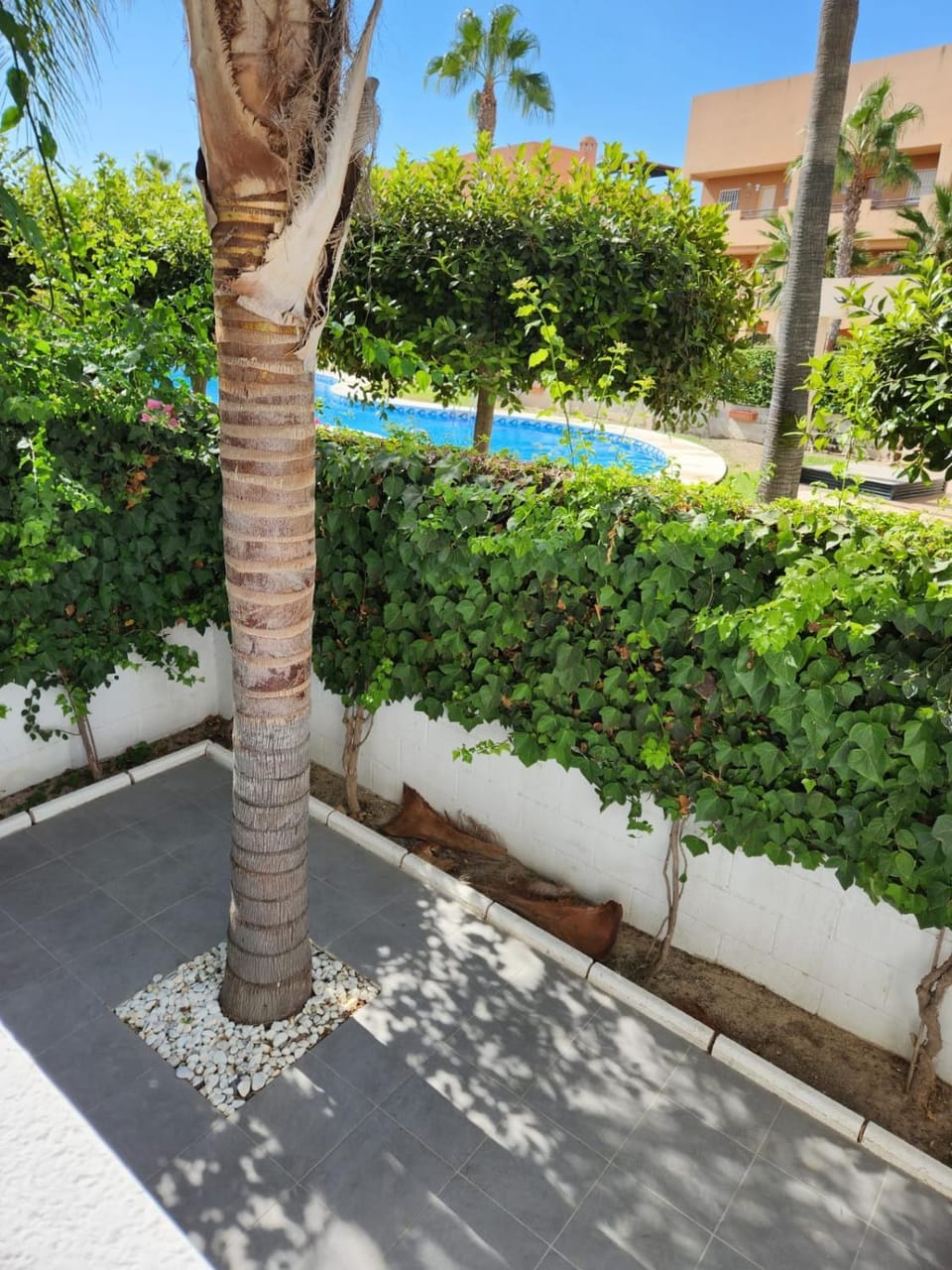 Day, Garden, Garden view, Pool view, Swimming pool