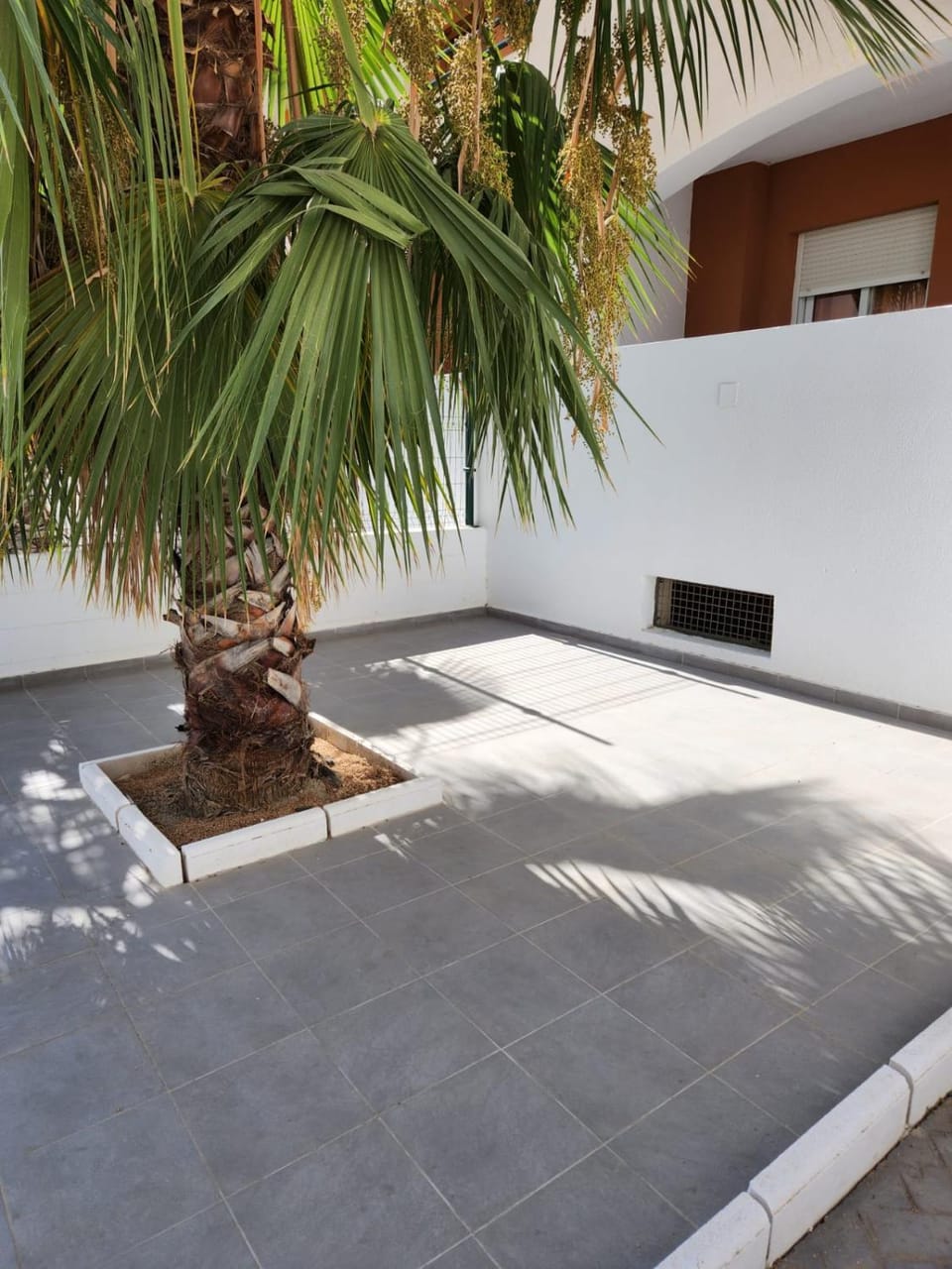 Patio, Day