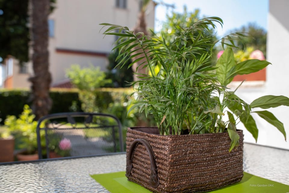 Apartman LUKA Apartment in Rovinj