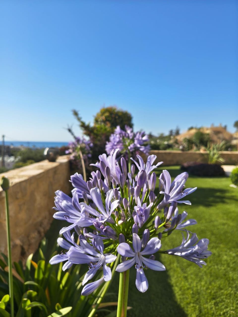 Xenia's countryside guesthouse Apartment in Agia Marina