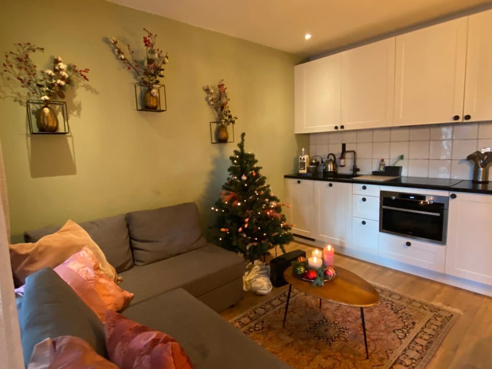 Kitchen or kitchenette, Living room, Seating area, Dining area, pet friendly, stove