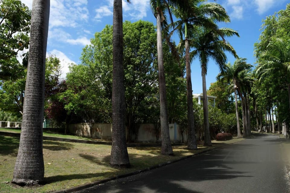 Studio Damoiselle Apartment in Grande-Terre, Guadeloupe