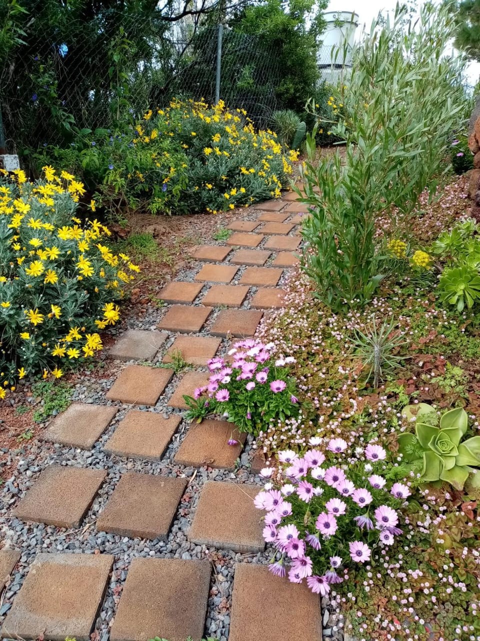 Patio, Garden