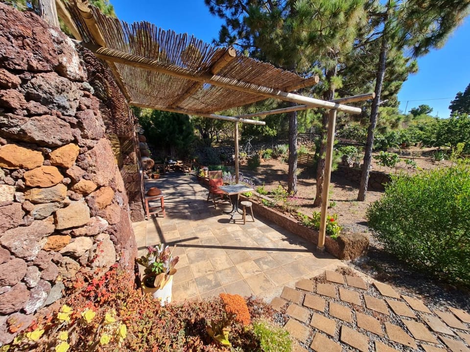 Patio, Garden