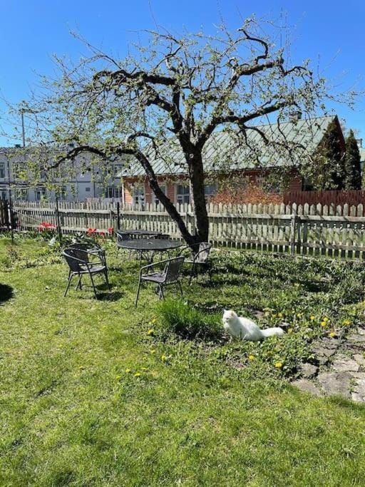 Lovely 2-bedroom apartment with free parking Apartment in Estonia