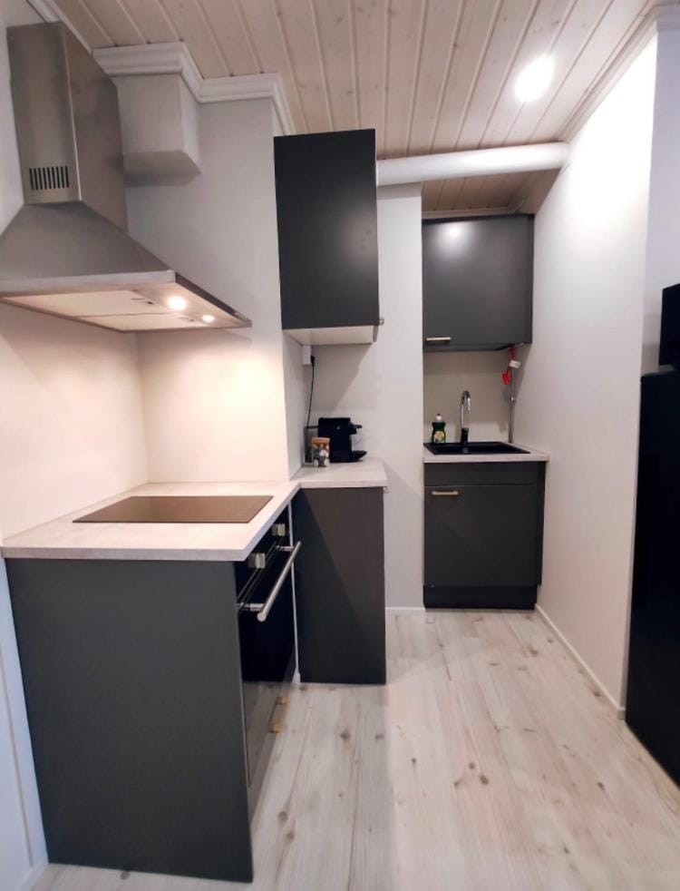 Upea moderni pieni yksiö rauhallisella sijainnilla - itsepalvelukirjautuminen - SELF CHECK-IN Apartment in Finland