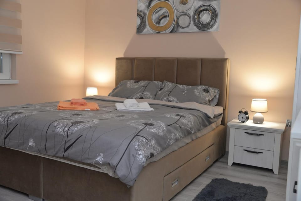 Milivojevic Apartment in Serbia