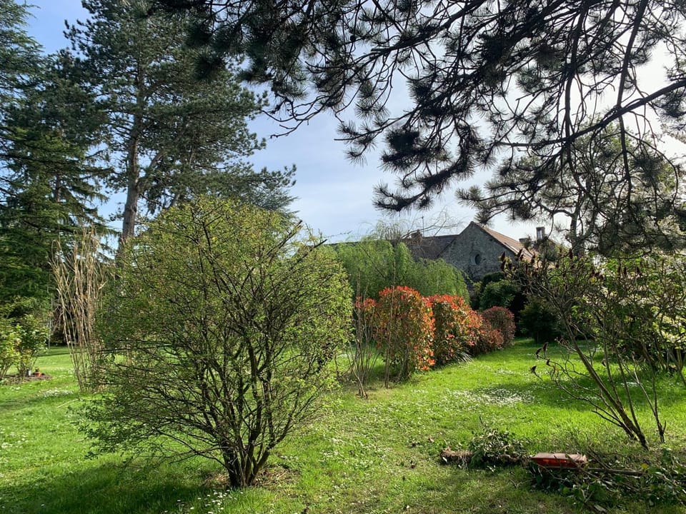 Natural landscape, Children play ground, Garden, Garden view