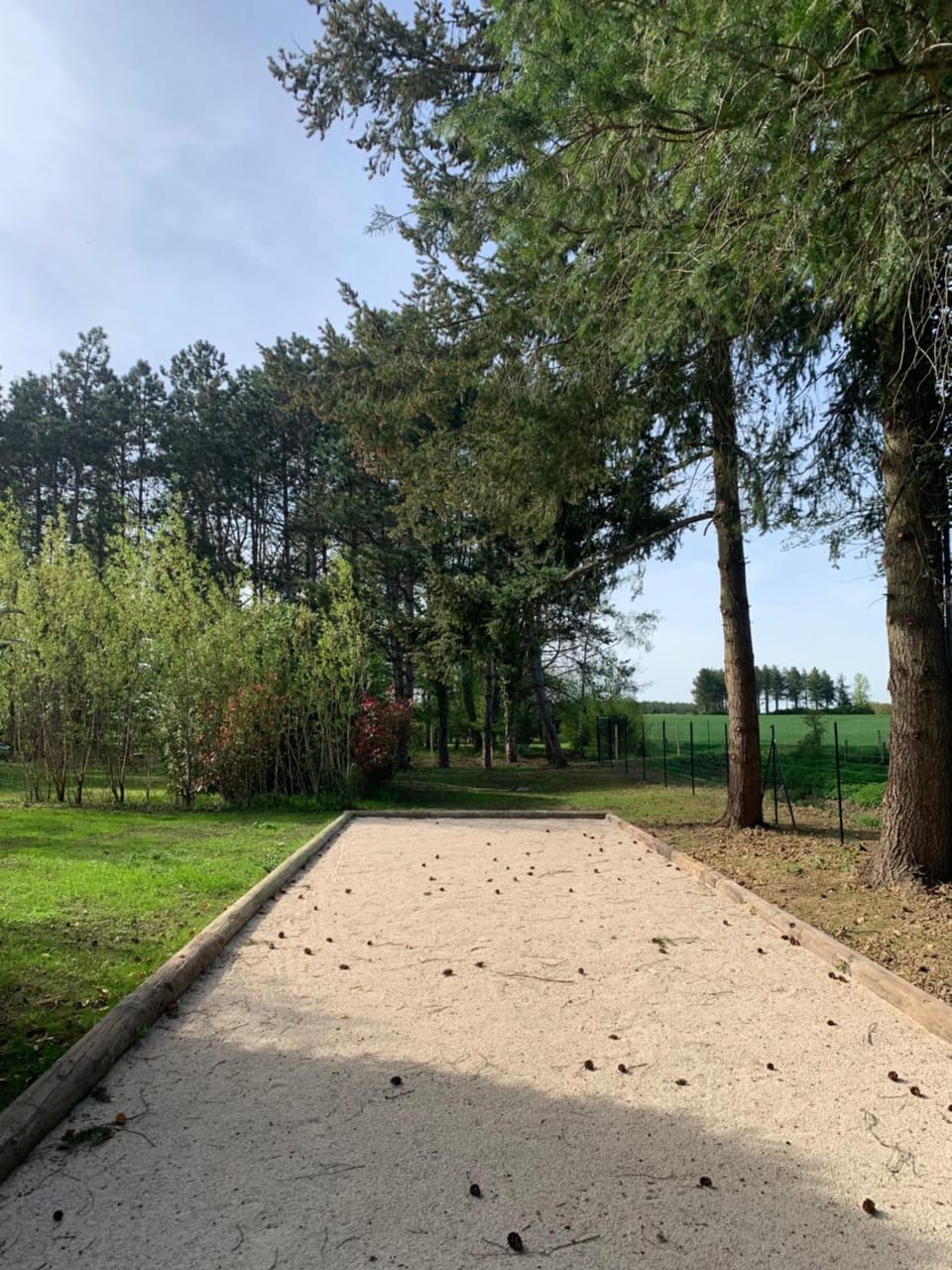 Natural landscape, Children play ground, Garden, Garden view