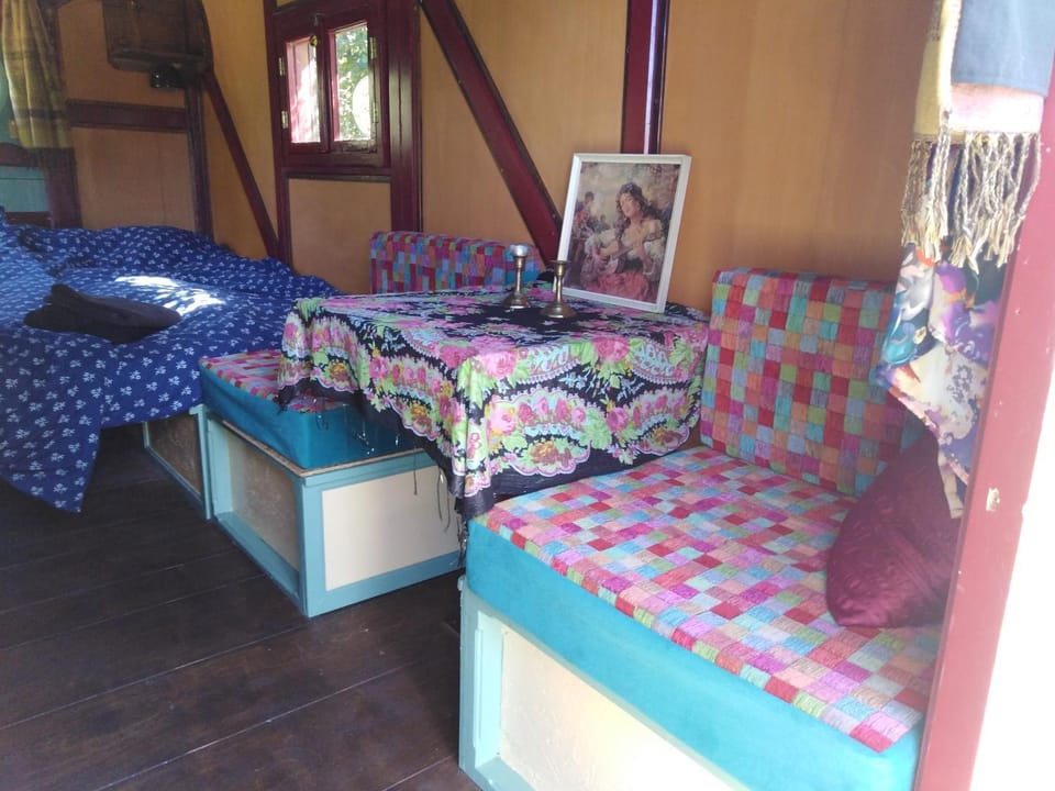 Bed, Living room, Photo of the whole room, Seating area, Bedroom